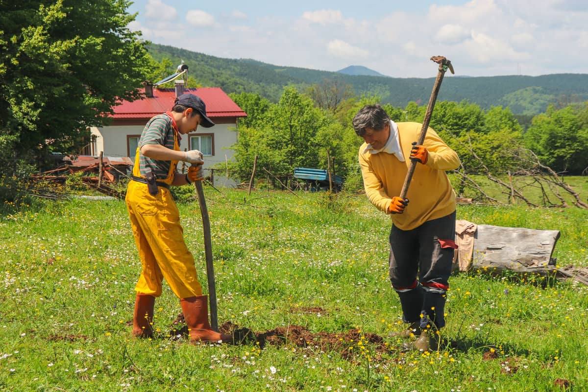 Bahçe Logarı Temizliği